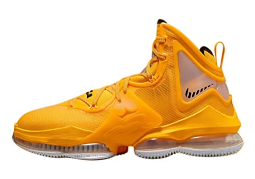 Nike Lebron XIX